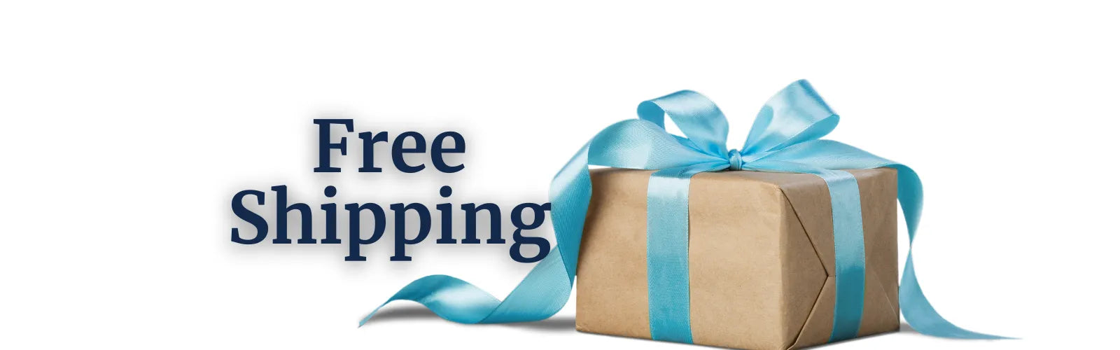 Gift box with blue ribbon and 'Free Shipping' text on a white background