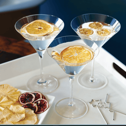  Cocktail gift set with dried orange garnishes for Old Fashioned drinks and corporate gifts