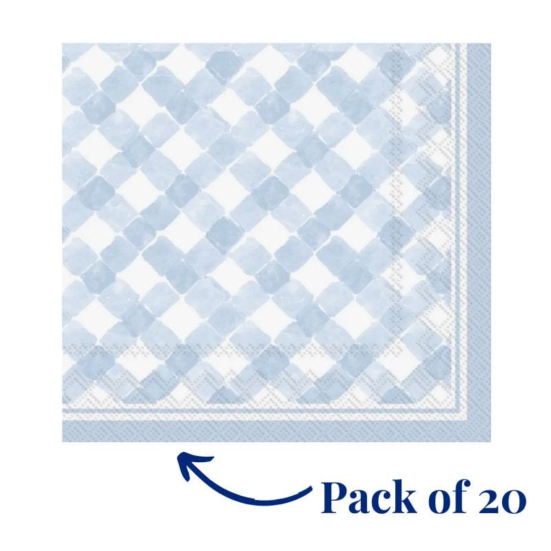 Blue and white gingham napkins in North Carolina spring gift baskets and artisan gifts