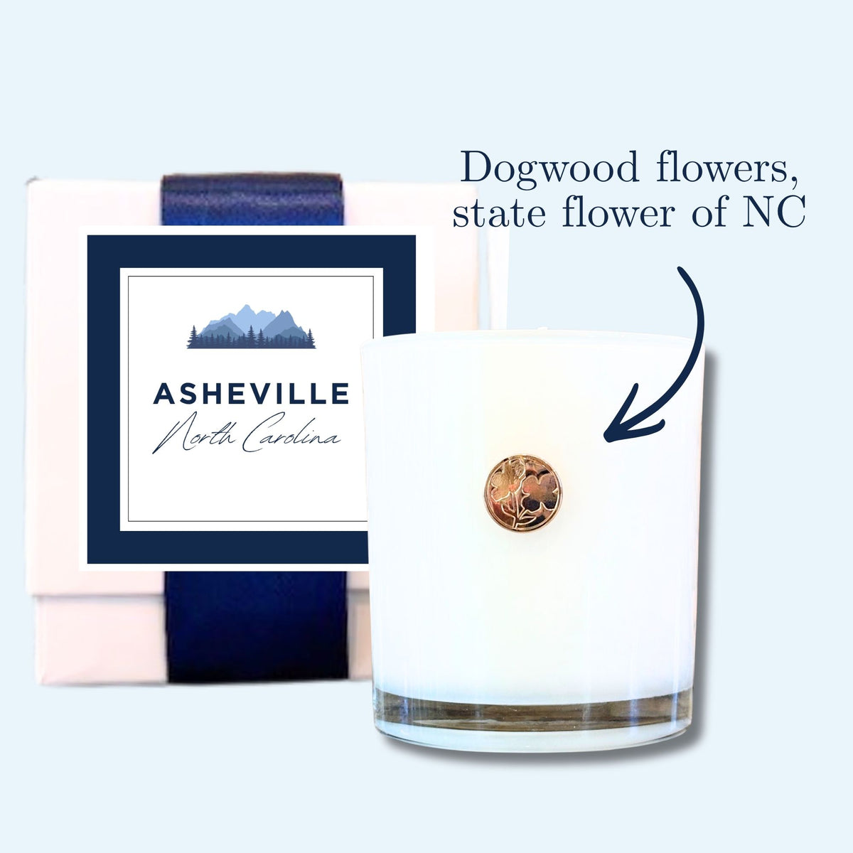 Asheville NC Gift Tote