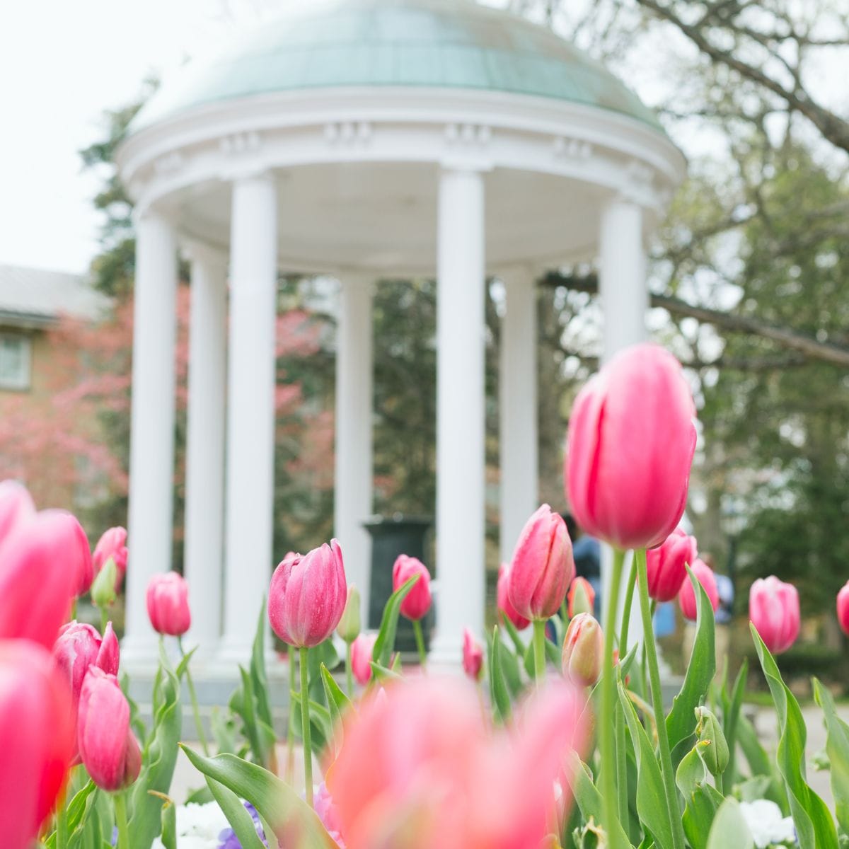 UNC Chapel Hill staff and department recognition gifts with Carolina-made products